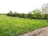 eladó telek - Sopron