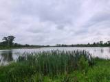 elad� telek - Babot