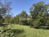 elad� tanya / mg. ter�let - Cserszegtomaj